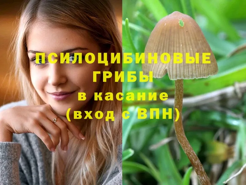 наркота  Луховицы  Галлюциногенные грибы Magic Shrooms 